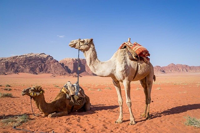 Avventura nel Deserto Sharm El Sheikh  (5X1)