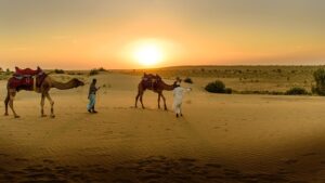 Cammellata nel deserto di Sharm El Sheikh