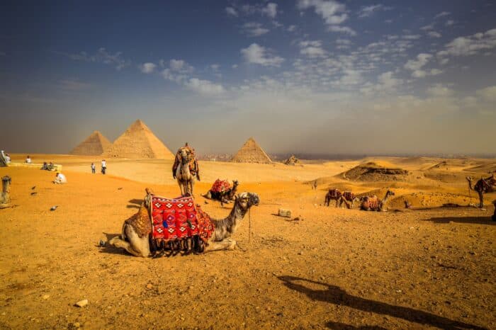 Excursion from sharm to cairo by bus