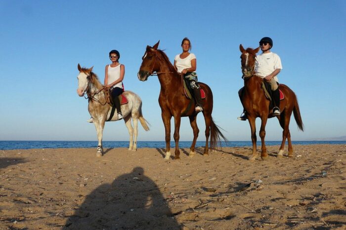 Horse Riding in Sharm el Sheikh – Horseback Riding Excursion