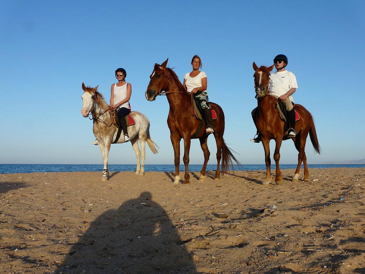 the center of the equations|the center of the equations