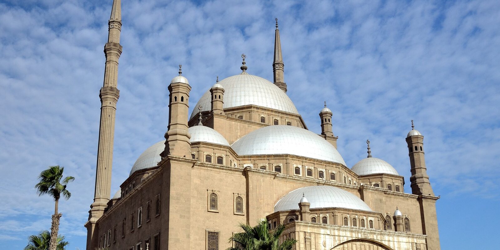 Pick up from your hotel|Pick up from your hotel