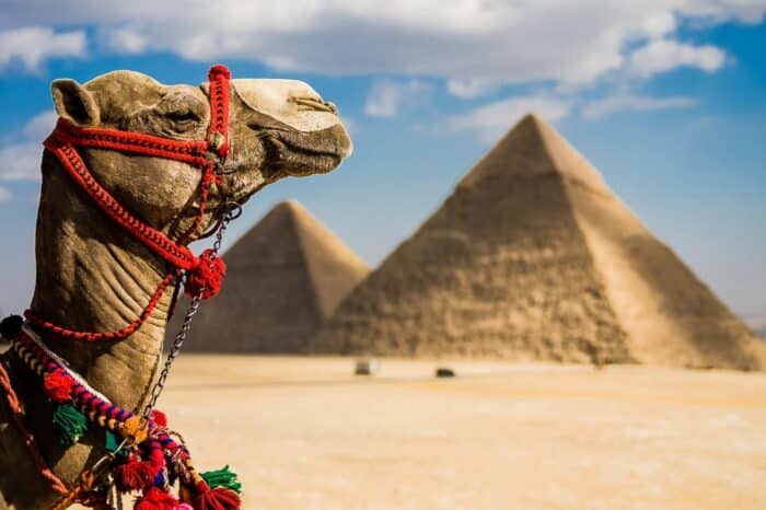 Escursione alle Piramidi di Giza, Menfi e Saqqara