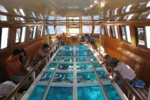 Escursione Barca di vetro sharm el sheikh