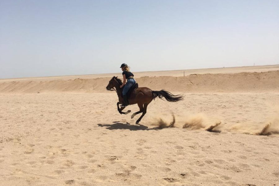 Horse Riding in the Desert Sharm El Sheikh Experience