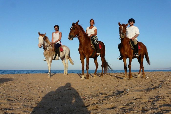 Passeggiata a cavallo Sharm el sheikh