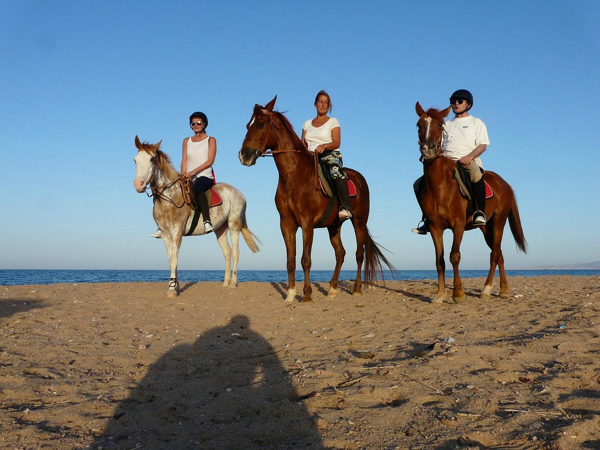 il centro delle equazioni