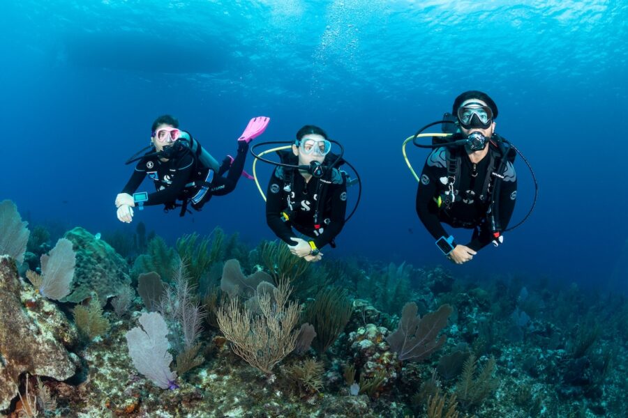 Immersioni subacquee dalla spiaggia Sharm el sheikh
