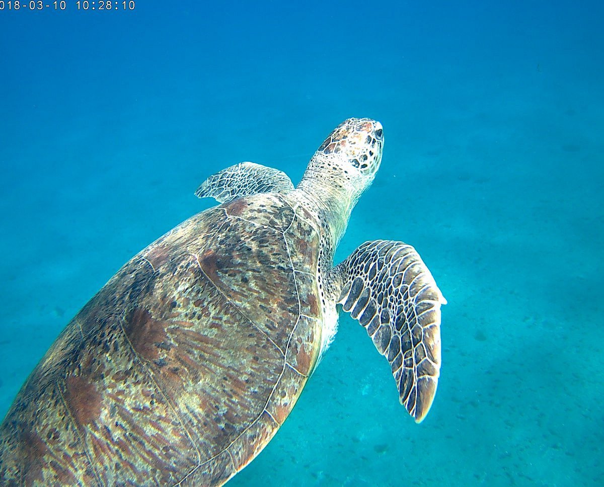 Programma dettagliato