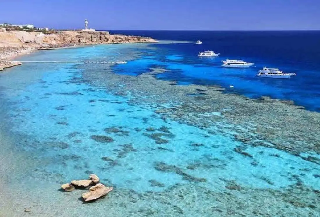 Isola di Tiran Isola di Tiran