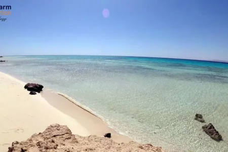 Sharm El Luli Marsa Alam tutto quello che devi sapere prima di partire