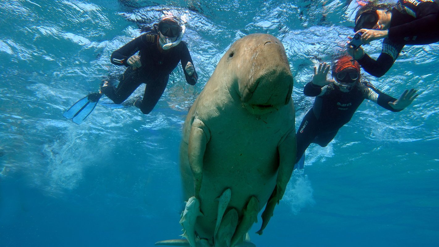 Escursione Marsa Mubarak a Marsa Alam
