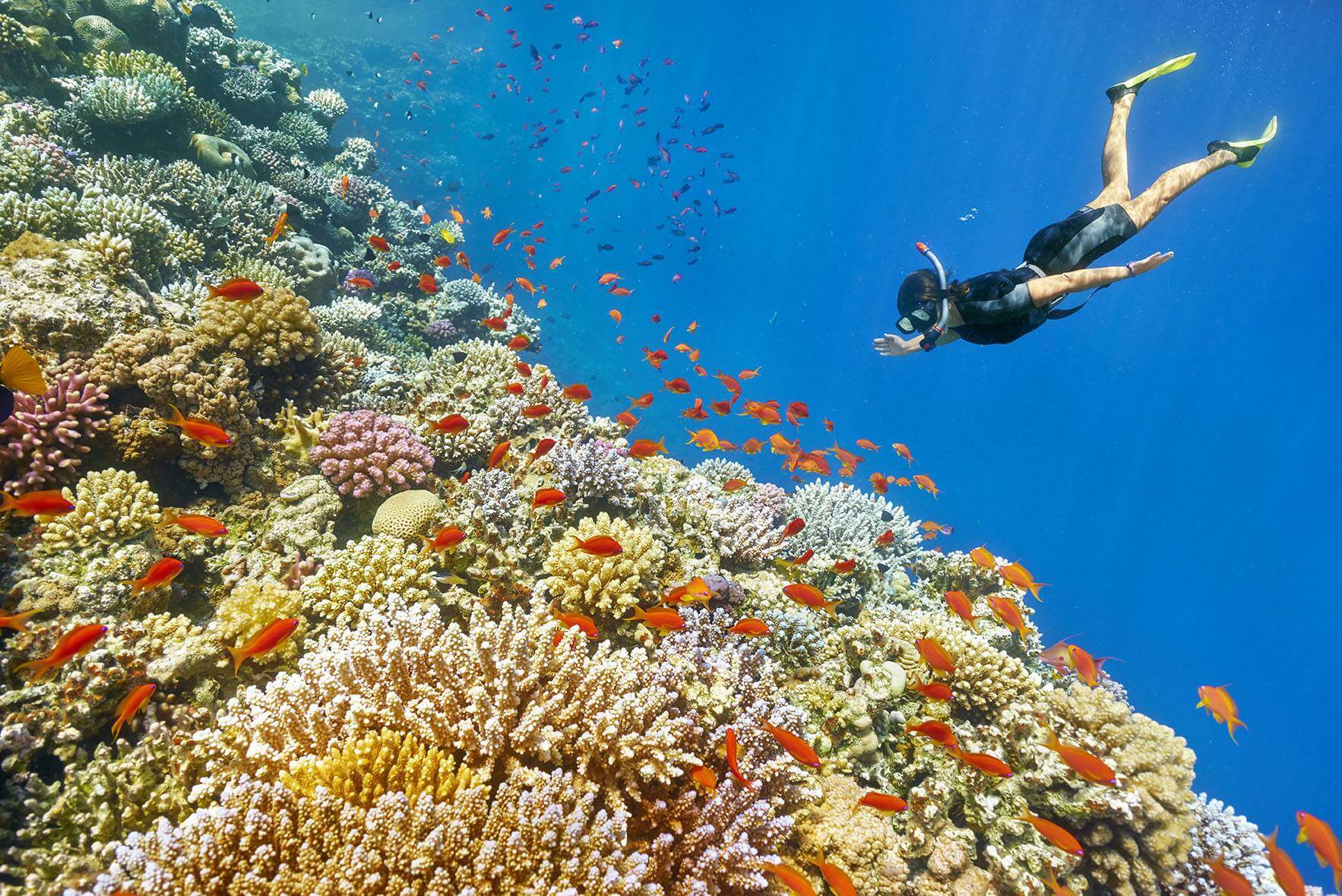 Escursioni in Barca Marsa Alam