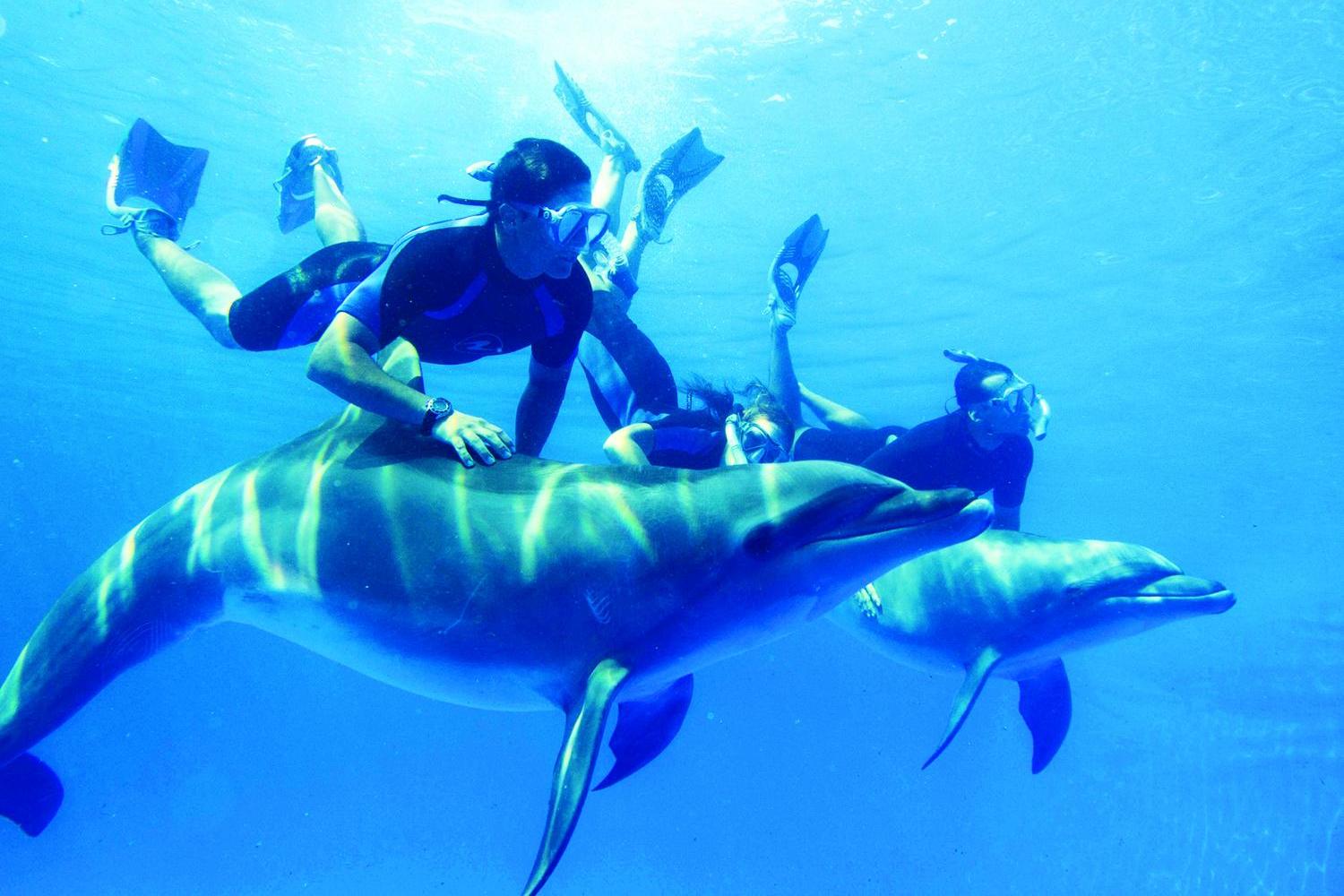 Snorkeling e Immersioni nel Mar Rosso a Marsa Alam