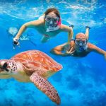Marsa Abu Dabbab Guida completa|Cosa fare a Abu Dabbab|