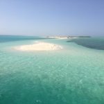 Escursione Wadi El Gemal in Barca da Marsa Alam