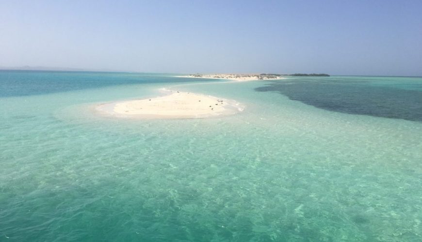 Escursione Wadi El Gemal in Barca da Marsa Alam