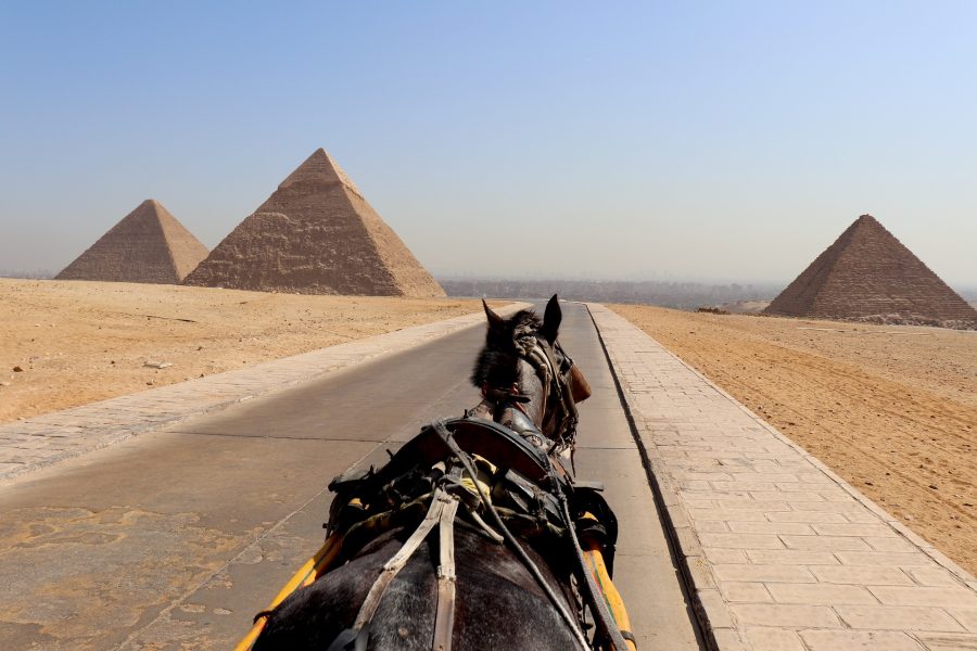 Escursioni da Hurghada al Cairo in aereo