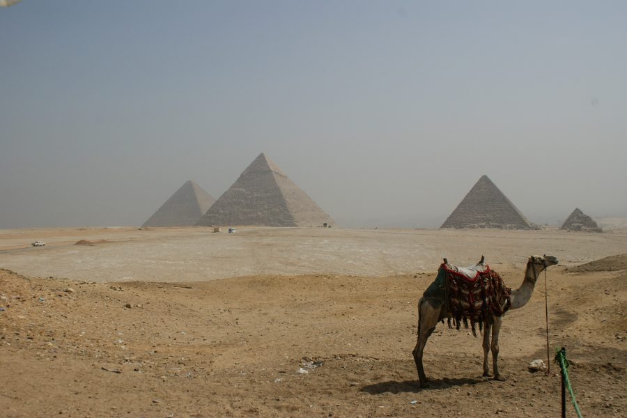 Escursione da Sharm al Cairo in aereo prezzi - Tour privato