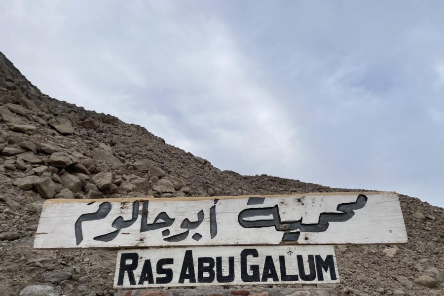 Overnight a Ras Abu Gallum da Dahab con Cammello