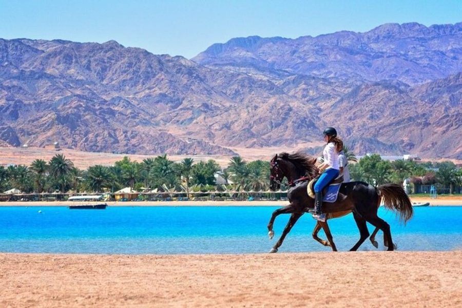 Passeggiata a Cavallo a Dahab sulla Spiaggia