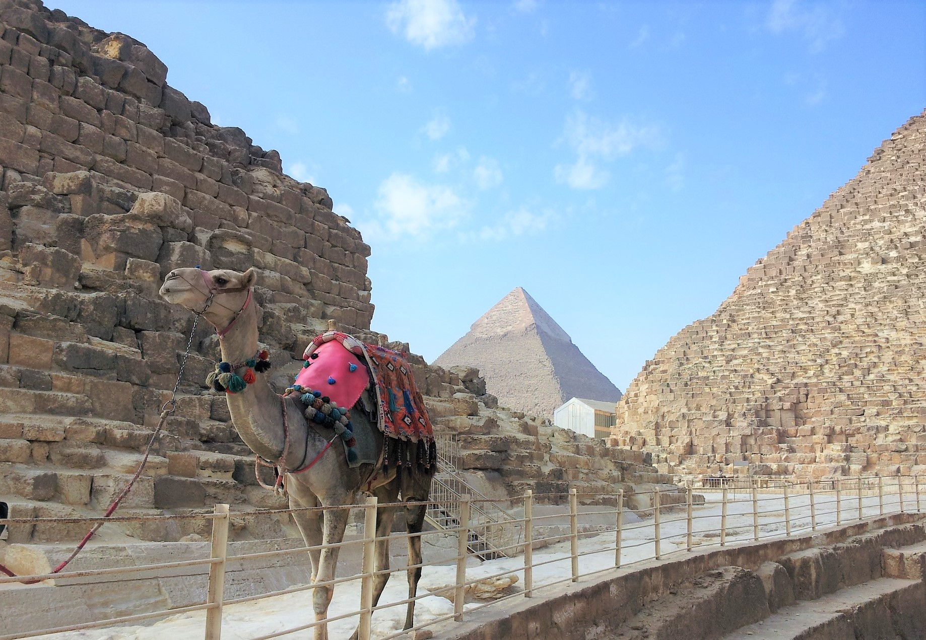 Viaggio 5 giorni in Egitto Cairo Luxor