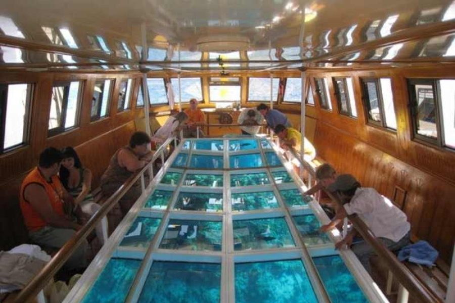 Glass Bottom Boat Sharm el Sheikh