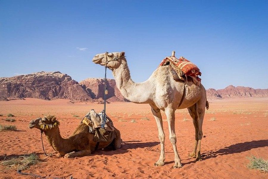 sharm el sheikh avventure nel mondo (5X1)