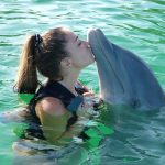 sharm el sheikh delfini