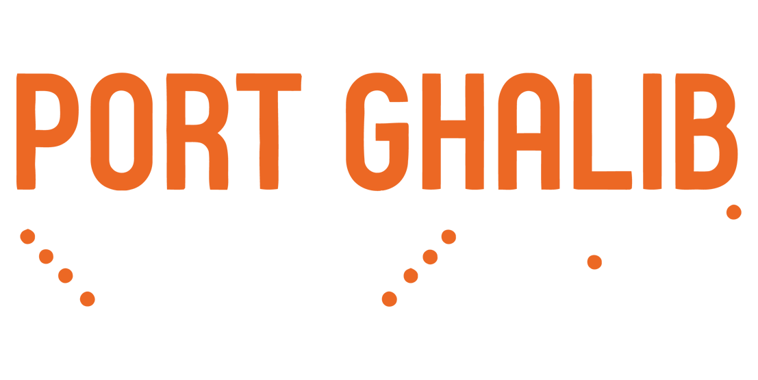Passeggiata a cammello a Port Ghalib